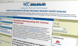 Image écran WC3